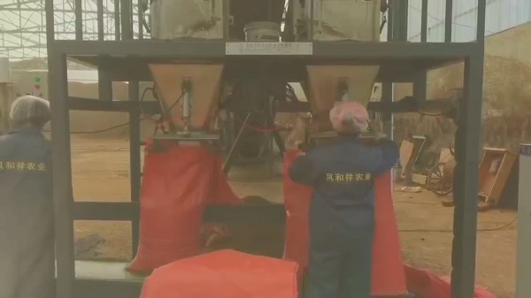 �͑��F(xi��n)��13